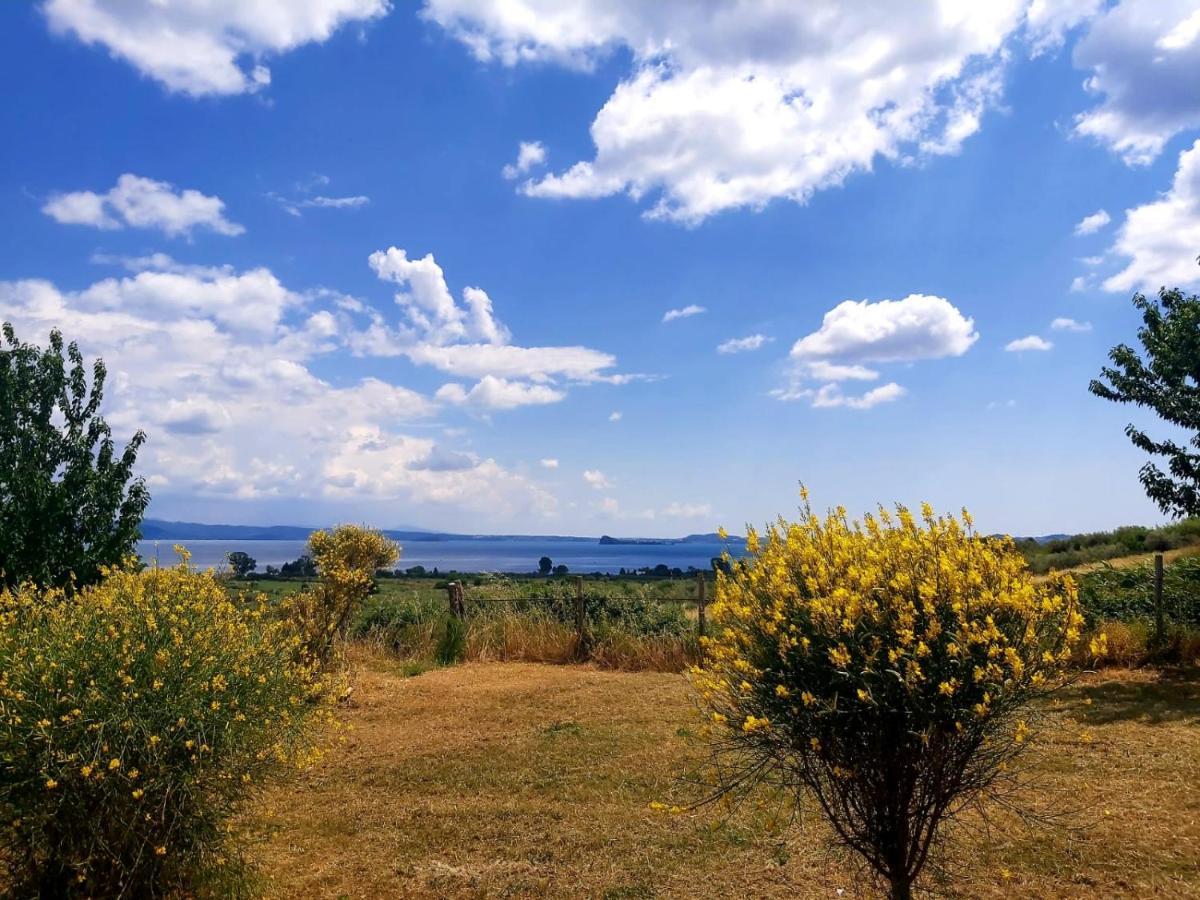 Agriturismo "La Fraschetta" Болсена Екстериор снимка