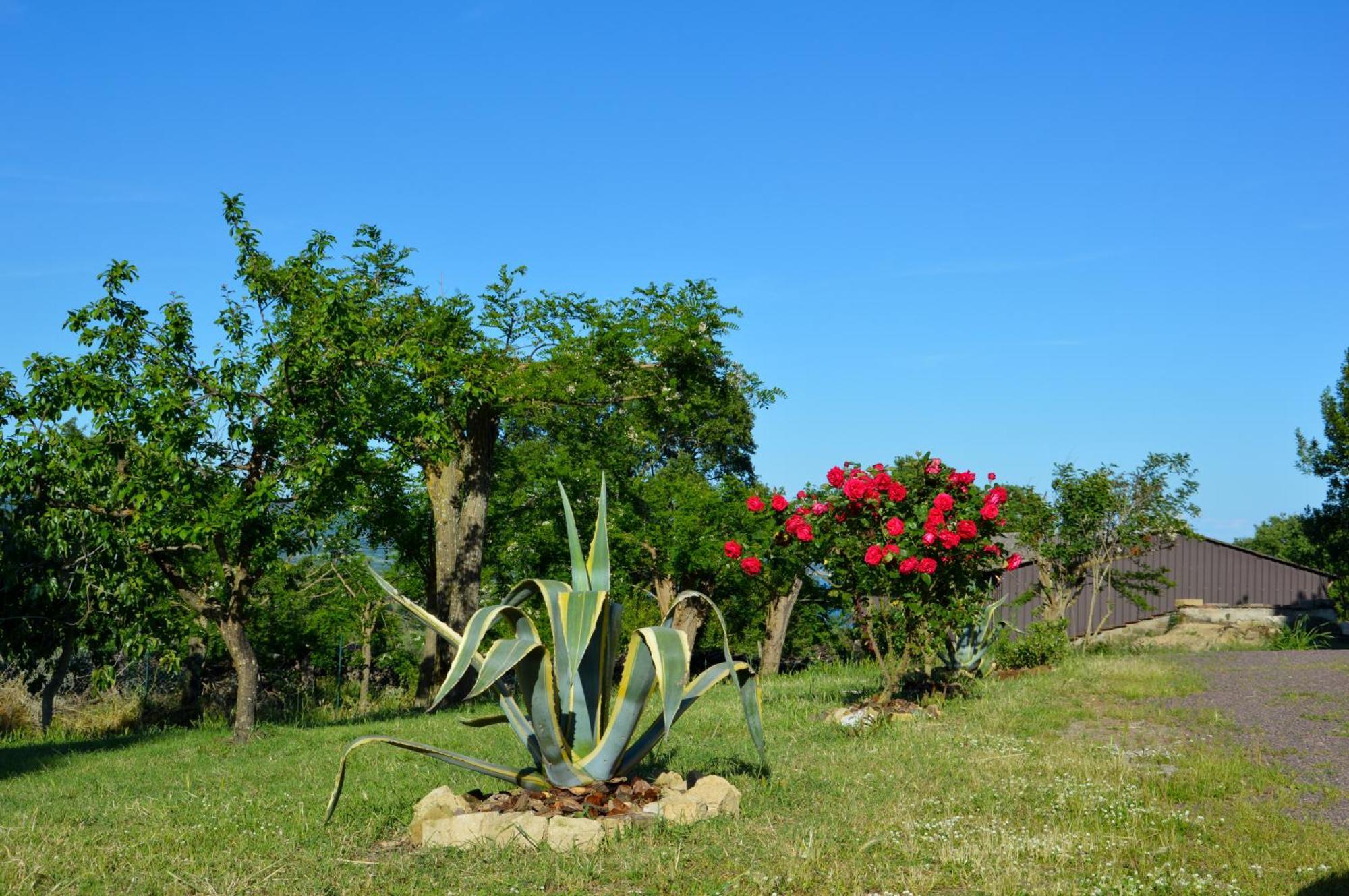 Agriturismo "La Fraschetta" Болсена Екстериор снимка