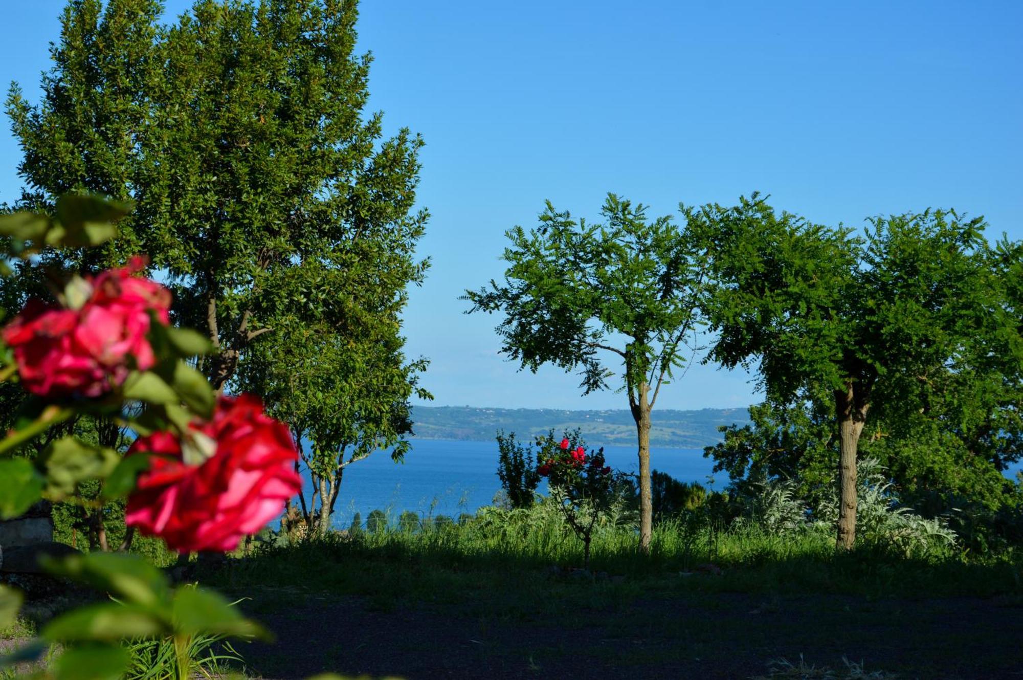 Agriturismo "La Fraschetta" Болсена Екстериор снимка